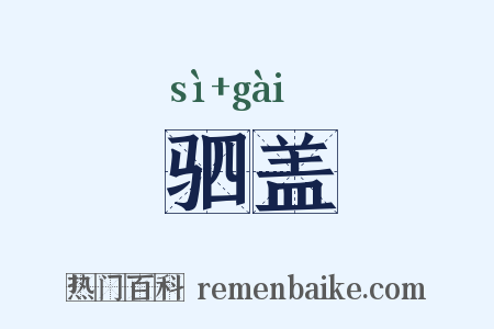驷盖是什么意思的图片
